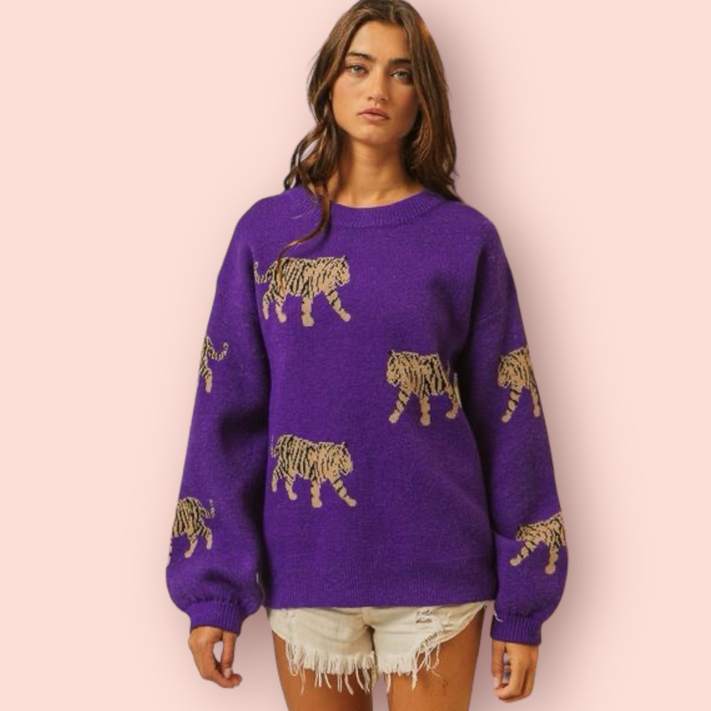 Made Just For You! BiBi Tiger Pattern Long Sleeve Sweater